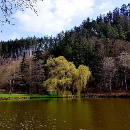Landsted Schupplerova *