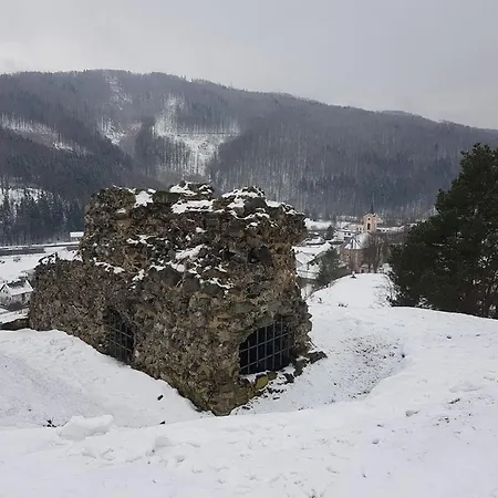 Schupplerova *