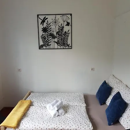 Schupplerova Venkovský dům