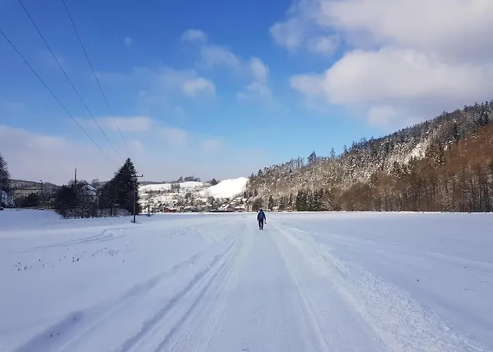 Schupplerova Летний дом *