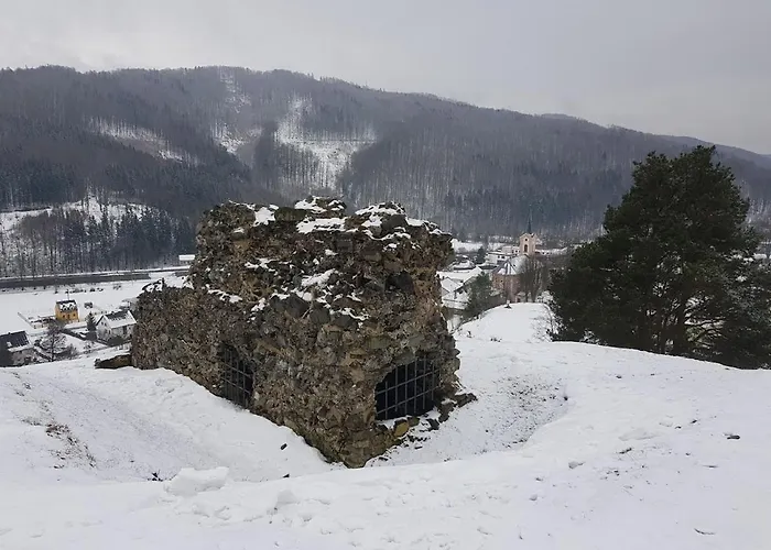 Schupplerova *